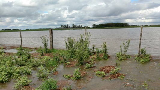 campo-inundado-zona-rural-la-playosa