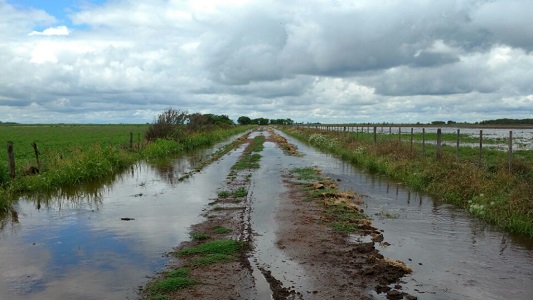 zona-rural-la-playosa-campo-inundado