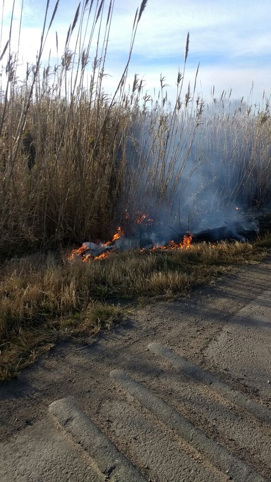incendio pastizales ruta 158