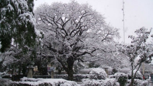 nevada en villa maria 2007 3