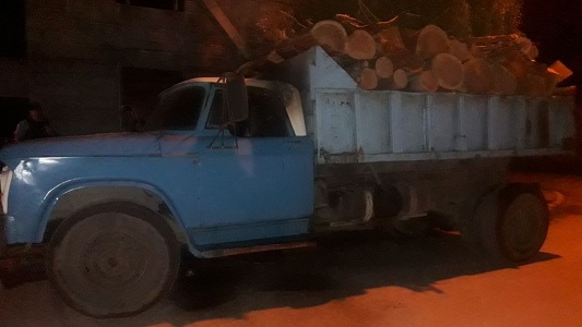 camion troncos incendio