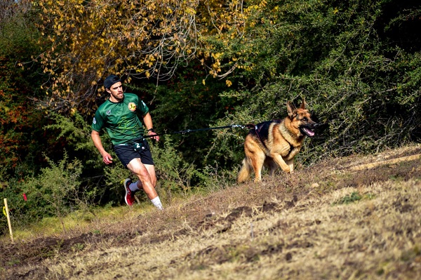 Rocco, el primer perro villamariense en participar en el campeonato nacional de canicross